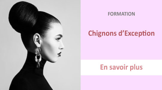 formation chignons exception