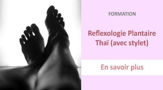 formation reflexologie plantaire thai