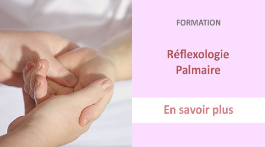 formation reflexologie palmaire