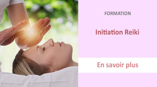 formation reiki